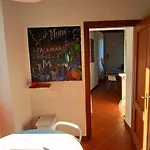 Carmen Lounge